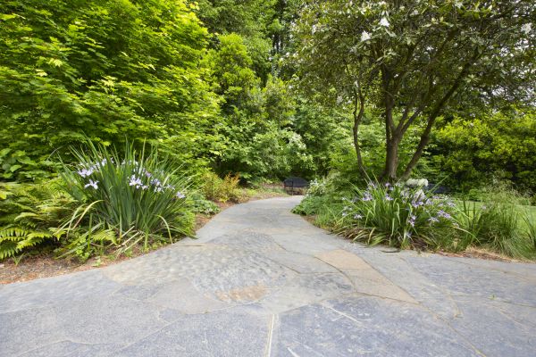 Stone Hardscape Service in Worcester